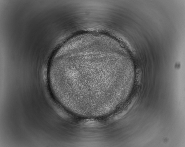 X0000102460589200808221621