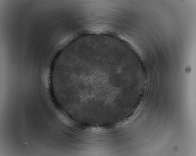 X0000102460590200808221621