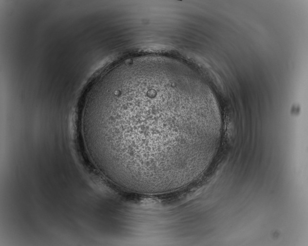 X0000102460591200808221621