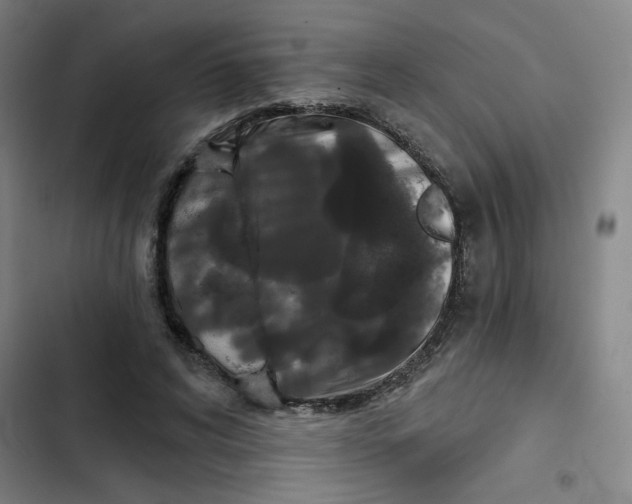 X0000102460592200808221621