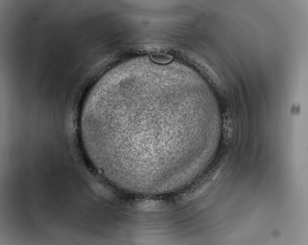 X0000102460593200808221621