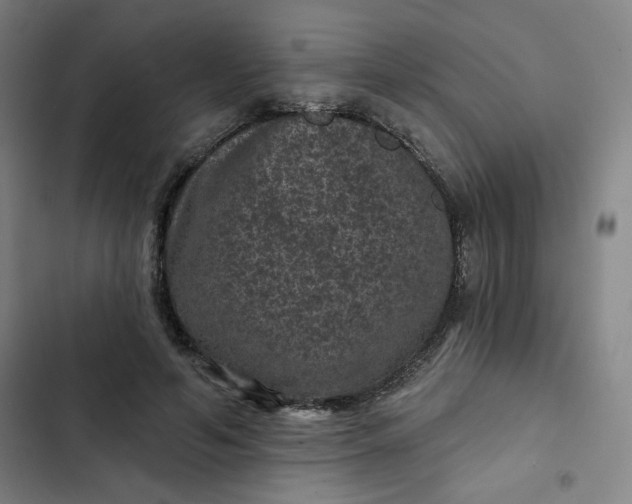 X0000102460594200808221621