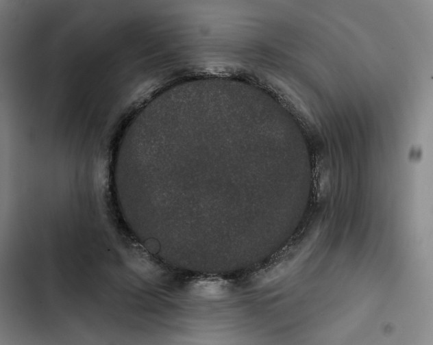 X0000102460595200808221621