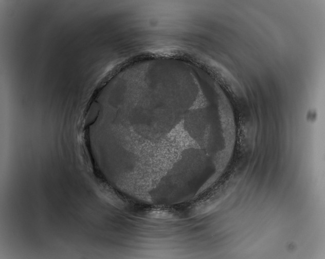 X0000102460596200808221621