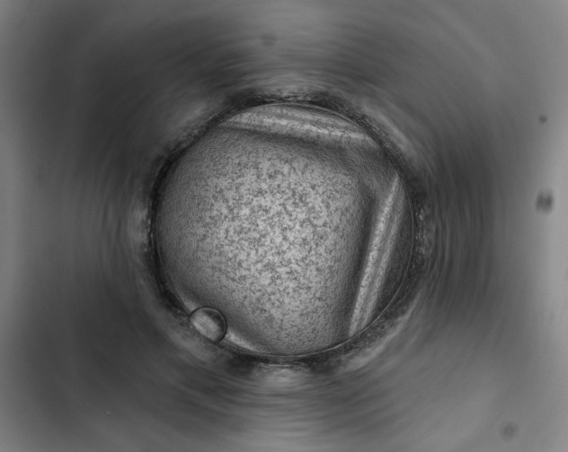 X0000102460597200808221621