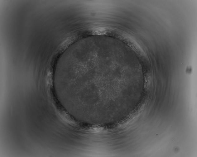 X0000102460598200808221621