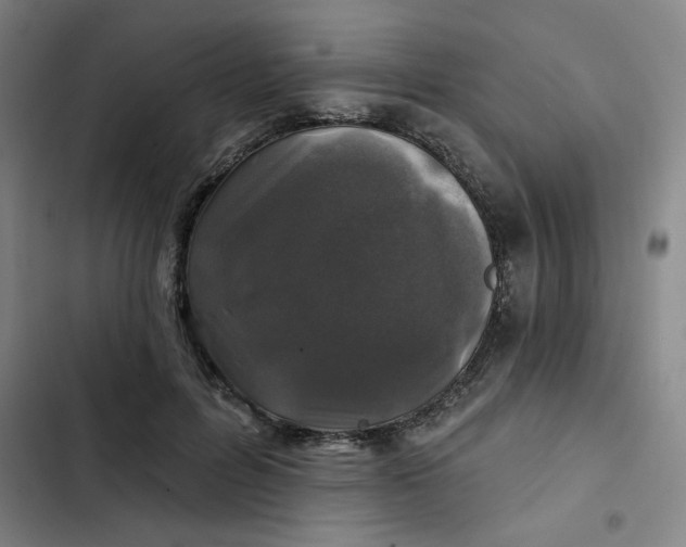 X0000102460600200808221621