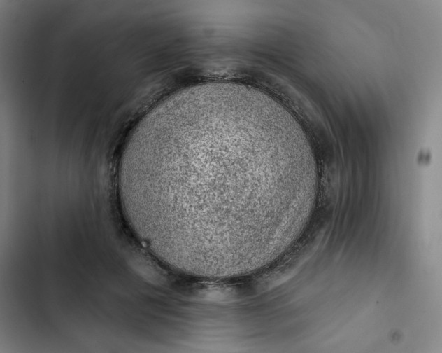 X0000102460601200808221621