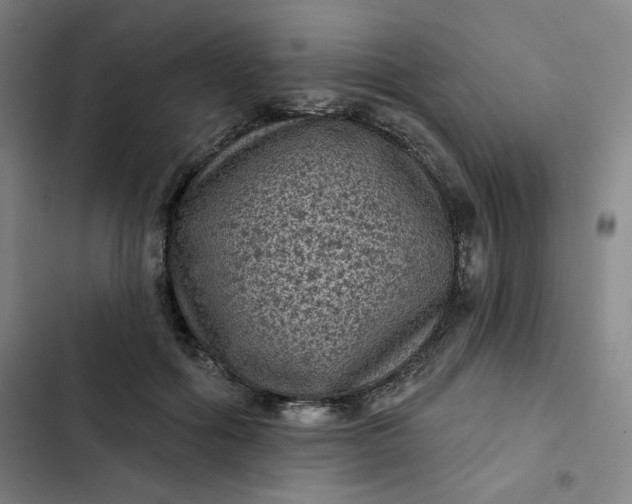 X0000102460602200808221621