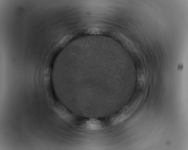 X0000102460603200808221621