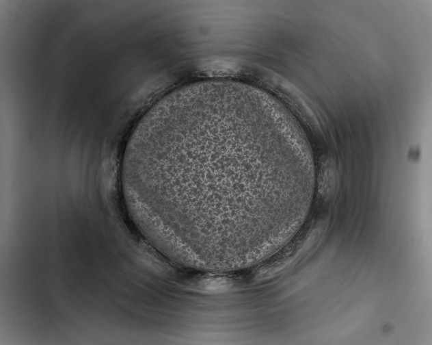 X0000102460604200808221621