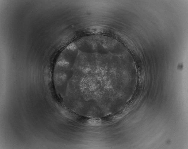 X0000102460606200808221620