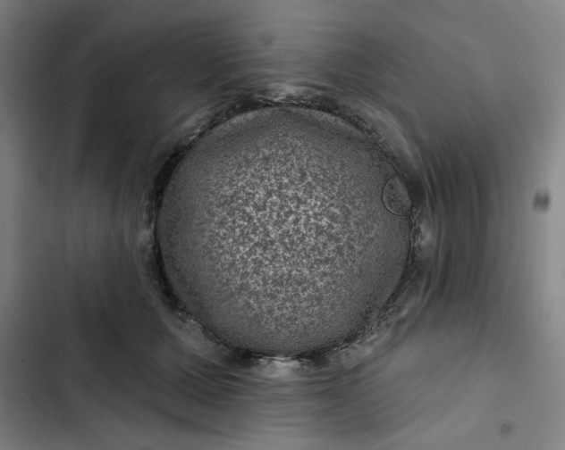 X0000102460607200808221620