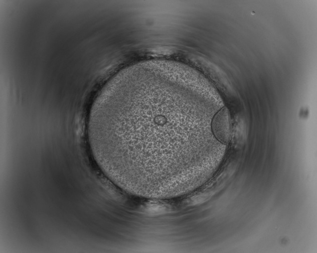 X0000102460608200808221620