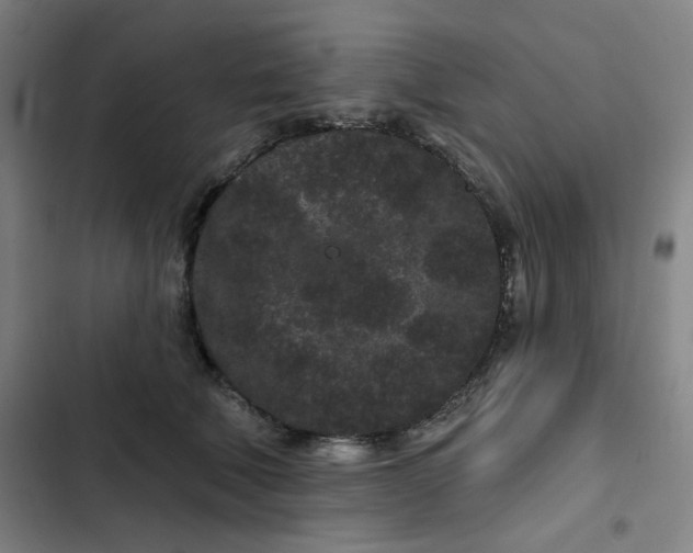 X0000102460610200808221620