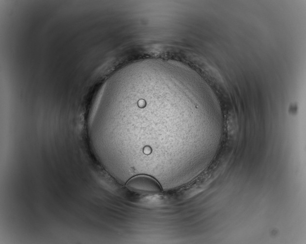 X0000102460611200808221620