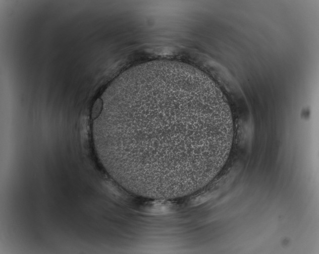 X0000102460612200808221620