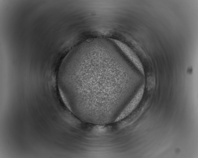 X0000102460613200808221620