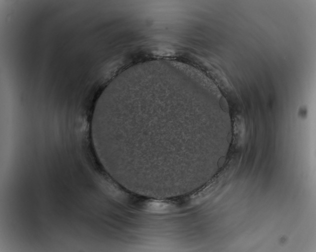 X0000102460614200808221620