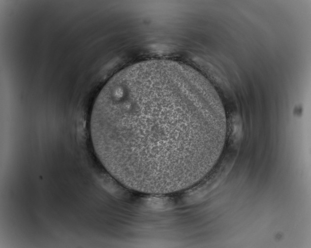 X0000102460615200808221620