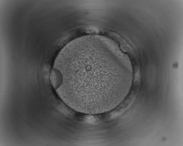 X0000102460616200808221620