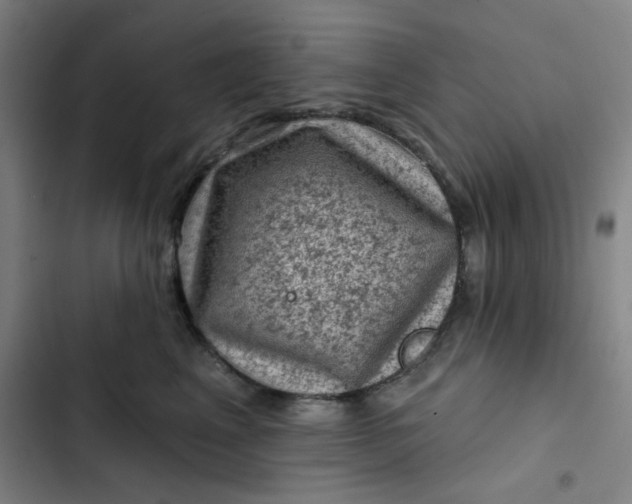 X0000102460617200808221620