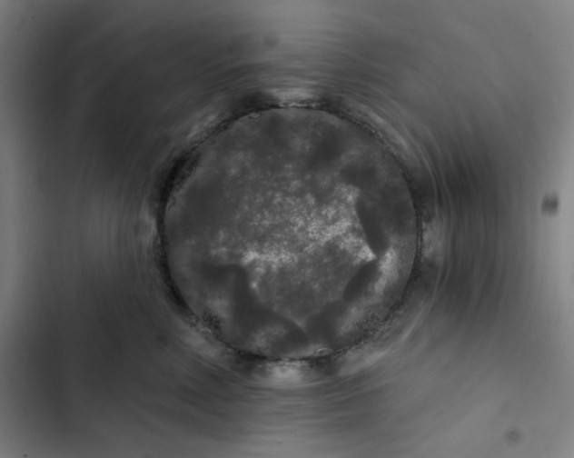 X0000102460618200808221620