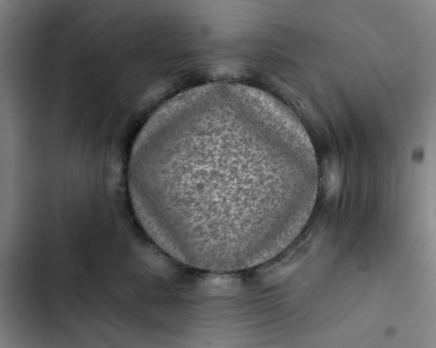 X0000102460619200808221620