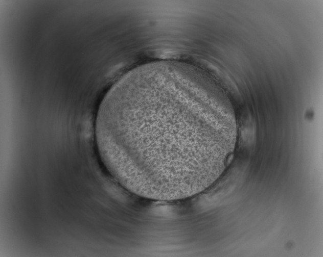 X0000102460620200808221620