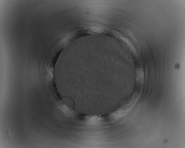 X0000102460621200808221620