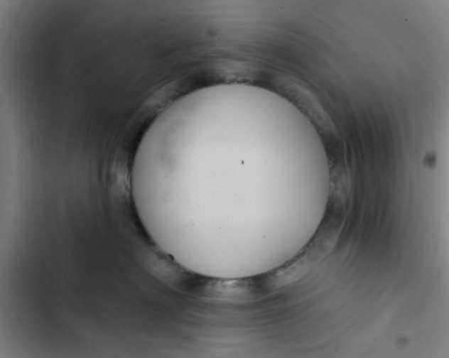 X0000102460622200808221620