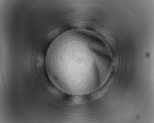 X0000102460623200808221620