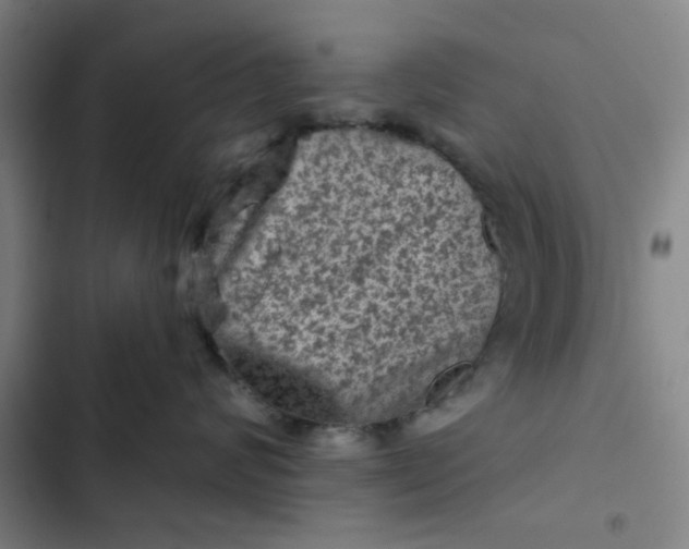 X0000102460624200808221620