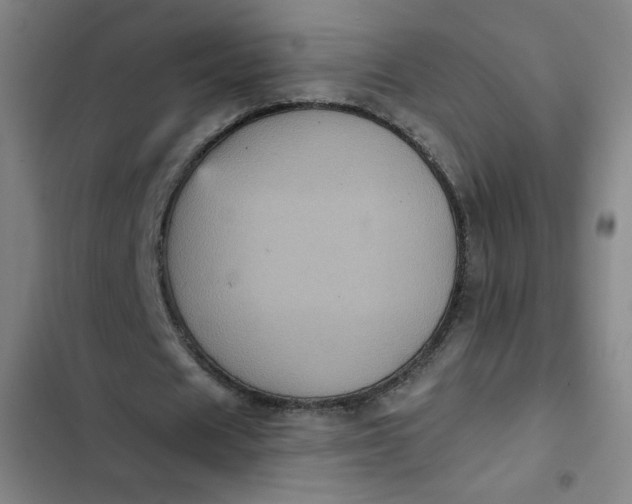 X0000102460625200808221620