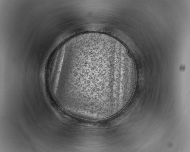 X0000102460626200808221620