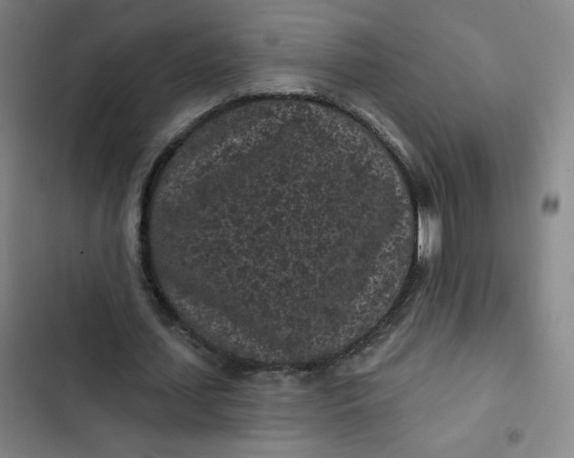 X0000102460627200808221620