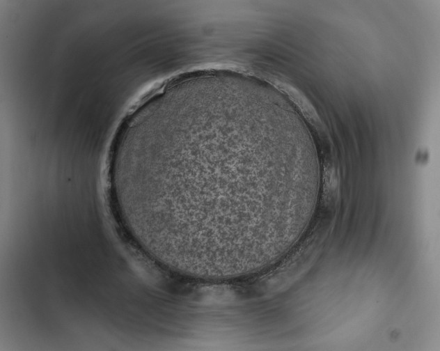 X0000102460628200808221620