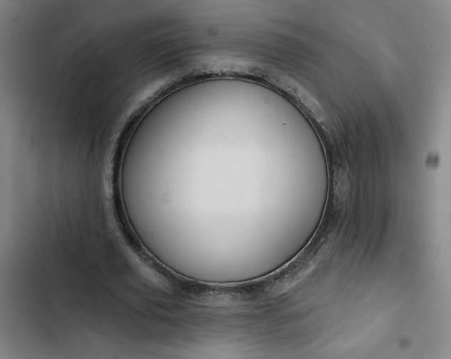 X0000102460629200808221620