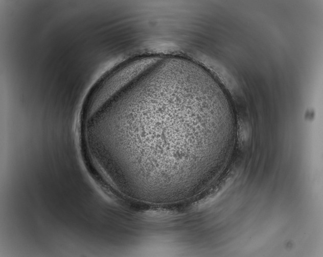 X0000102460630200808221620