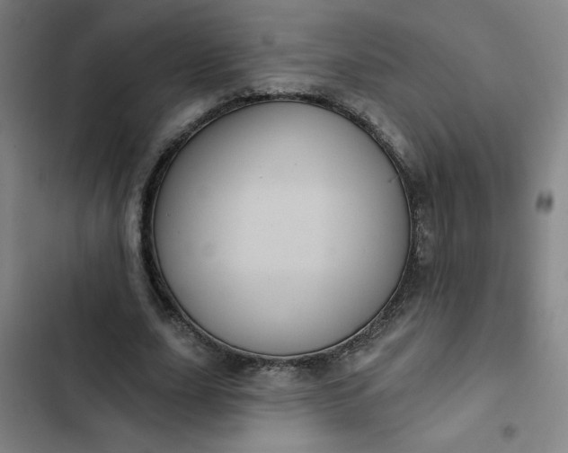 X0000102460631200808221620