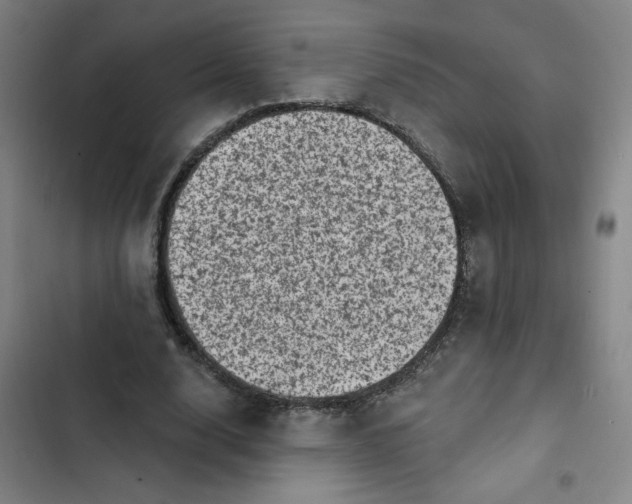 X0000102460632200808221620