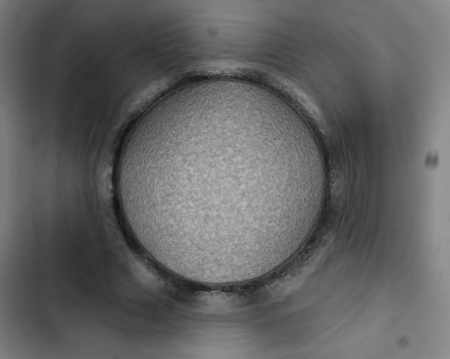 X0000102460633200808221620