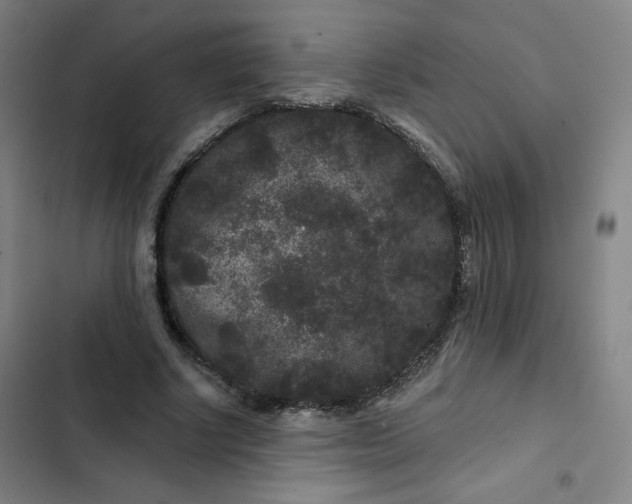 X0000102460634200808221620