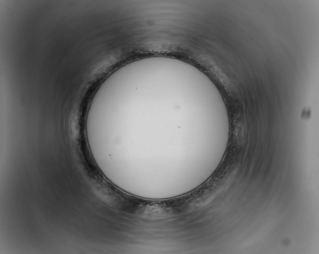 X0000102460635200808221620