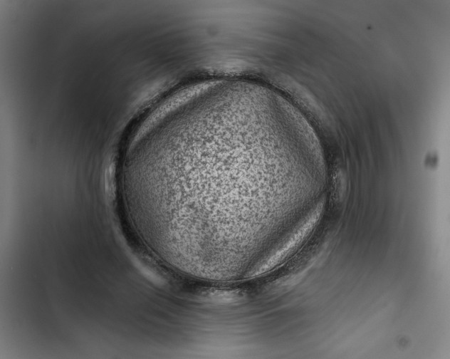 X0000102460638200808221620