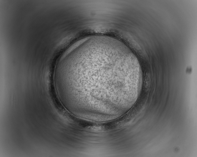 X0000102460639200808221620