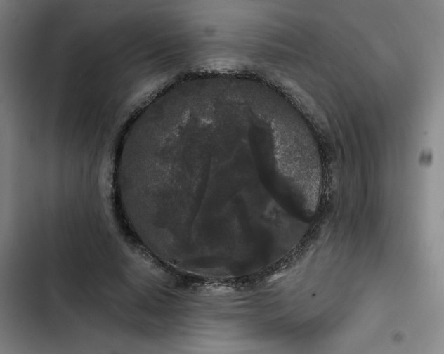 X0000102460640200808221620