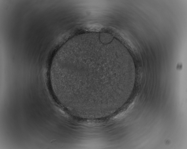 X0000102460641200808221620