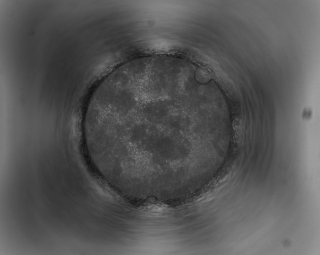 X0000102460642200808221620