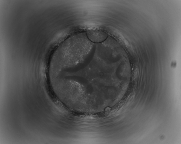 X0000102460643200808221620